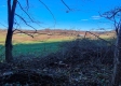 Tract 8 - Albany Woods property photo