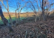 Tract 8 - Albany Woods property photo