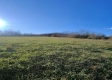 Tract 8 - Albany Woods property photo