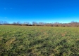 Tract 8 - Albany Woods property photo