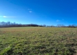 Tract 8 - Albany Woods property photo