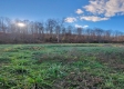 Tract 8 - Albany Woods property photo