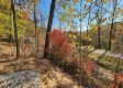 Tract 5 – Brady Road on Wayne property photo