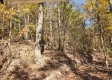 Tract 5 – Brady Road on Wayne property photo