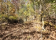 Tract 5 – Brady Road on Wayne property photo