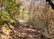 Tract 5 – Brady Road on Wayne property photo