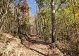 Tract 5 – Brady Road on Wayne property photo