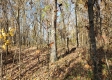 Tract 5 – Brady Road on Wayne property photo