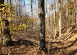 Tract 5 – Brady Road on Wayne property photo