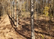 Tract 5 – Brady Road on Wayne property photo