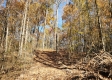 Tract 5 – Brady Road on Wayne property photo