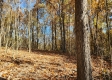 Tract 5 – Brady Road on Wayne property photo