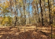 Tract 5 – Brady Road on Wayne property photo