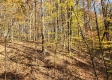 Tract 5 – Brady Road on Wayne property photo