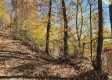 Tract 5 – Brady Road on Wayne property photo