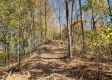 Tract 5 – Brady Road on Wayne property photo