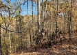 Tract 5 – Brady Road on Wayne property photo