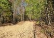 Tract 6 – Brady Road on Wayne property photo