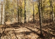 Tract 6 – Brady Road on Wayne property photo