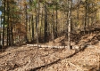 Tract 6 – Brady Road on Wayne property photo
