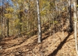 Tract 6 – Brady Road on Wayne property photo
