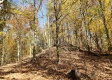 Tract 6 – Brady Road on Wayne property photo