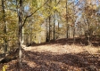 Tract 6 – Brady Road on Wayne property photo