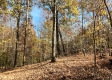 Tract 6 – Brady Road on Wayne property photo