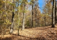 Tract 6 – Brady Road on Wayne property photo