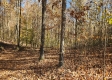 Tract 6 – Brady Road on Wayne property photo