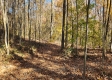 Tract 6 – Brady Road on Wayne property photo