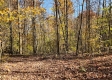 Tract 6 – Brady Road on Wayne property photo