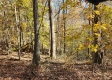 Tract 6 – Brady Road on Wayne property photo