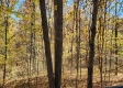 Tract 6 – Brady Road on Wayne property photo
