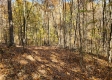 Tract 6 – Brady Road on Wayne property photo