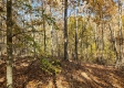 Tract 6 – Brady Road on Wayne property photo