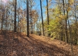 More of Tract 6 – Brady Road on Wayne