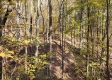 Tract 6 – Brady Road on Wayne property photo