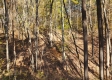 Tract 6 – Brady Road on Wayne property photo