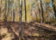 Tract 6 – Brady Road on Wayne property photo