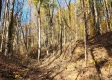 Tract 6 – Brady Road on Wayne property photo