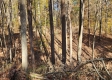 Tract 6 – Brady Road on Wayne property photo