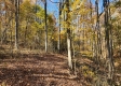 Tract 6 – Brady Road on Wayne property photo
