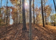 Tract 6 – Brady Road on Wayne property photo