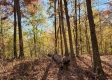 Tract 6 – Brady Road on Wayne property photo