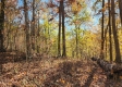 Tract 6 – Brady Road on Wayne property photo