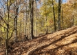 Tract 6 – Brady Road on Wayne property photo