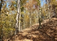 Tract 6 – Brady Road on Wayne property photo