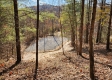 Tract 6 – Brady Road on Wayne property photo