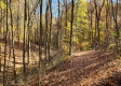 Tract 6 – Brady Road on Wayne